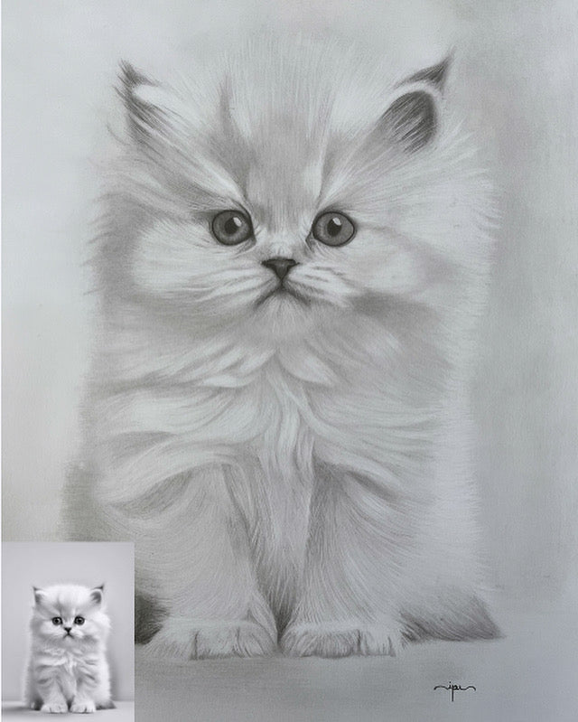 Gato Persa