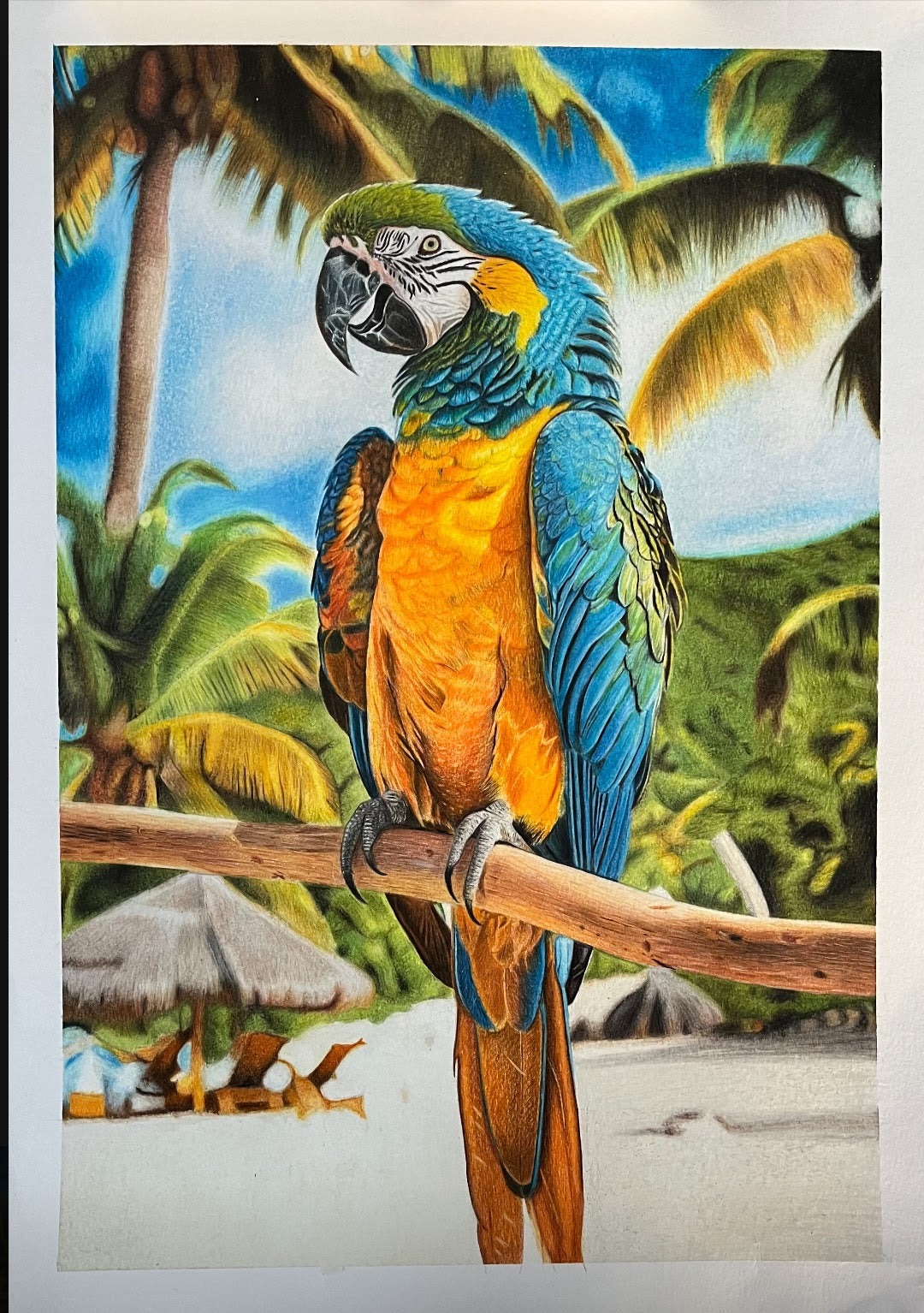 Papagayo